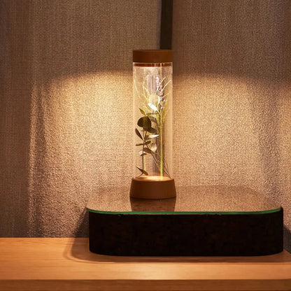 Lámpara de mesa recargable EOS, iluminación LED sostenible - Kaimok Design